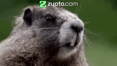 Ground Squirrel Close Up with ZuPto.com