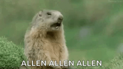 Ground Squirrel Saying Allen Allen Allen GIF