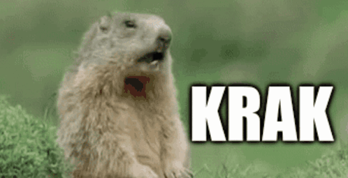 Ground Squirrel Sitting in Grass Mouth Open Saying Krak