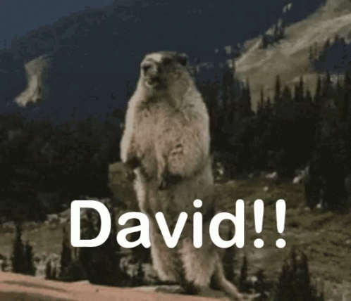 Ground Squirrel Standing on Hind Legs David