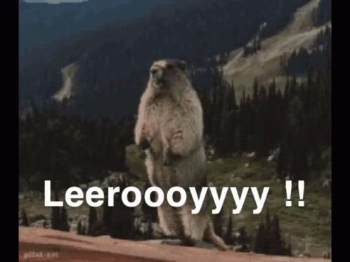 Ground Squirrel Standing on Hind Legs Leeroooyyy