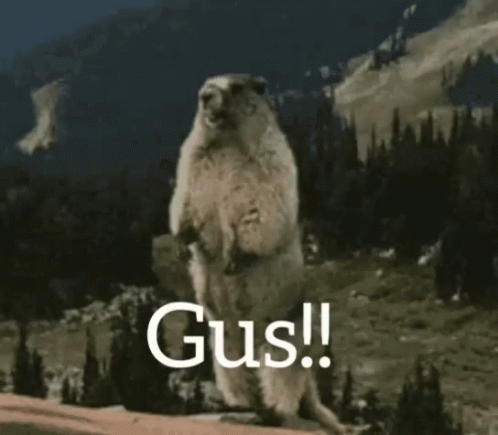 Ground Squirrel Standing on Hind Legs Saying Gus