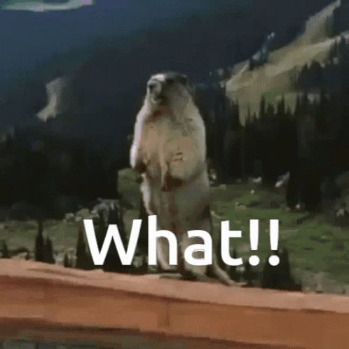 Ground Squirrel Standing on Hind Legs Saying What
