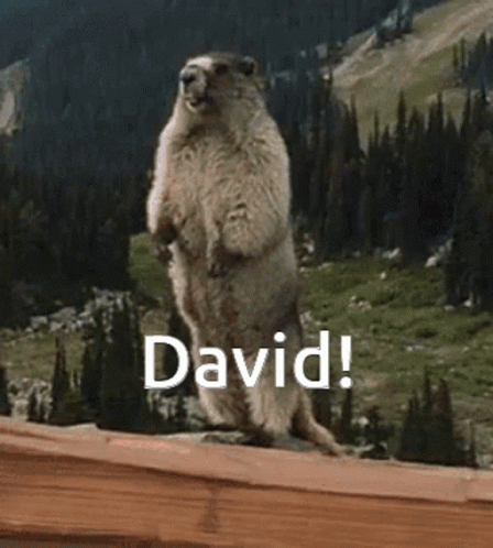 Ground Squirrel Standing on Hind Legs With David