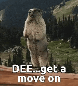 Ground Squirrel Standing on Railing Saying Dee Get a Move On