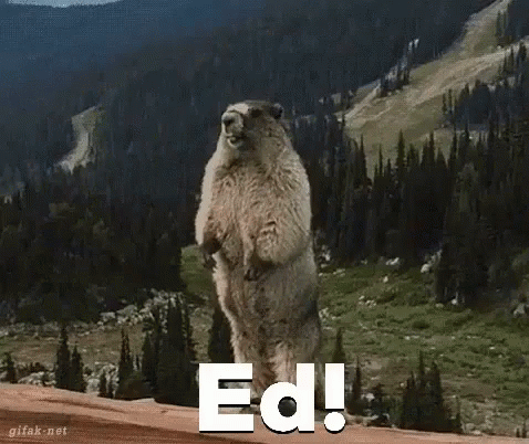 Ground Squirrel Standing With Ed