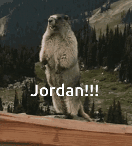 Ground Squirrel Standing With Jordan