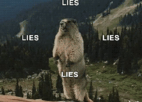 Ground Squirrel Standing With Lies