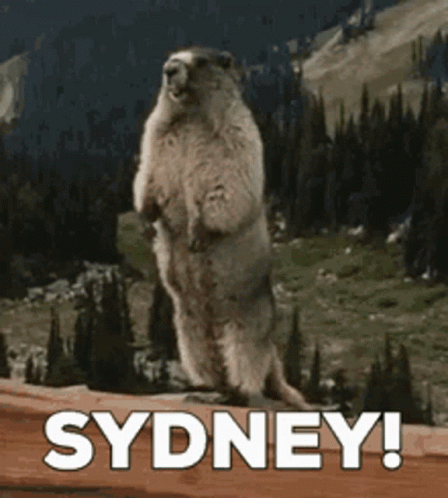 Ground Squirrel Standing With Sydney GIF