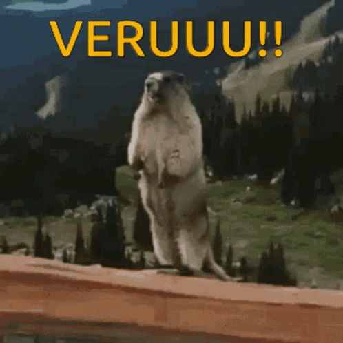 Ground Squirrel Standing With Veruuu