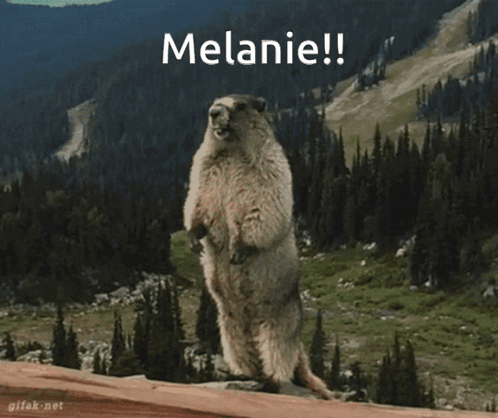 Ground Squirrel With Words Melanie