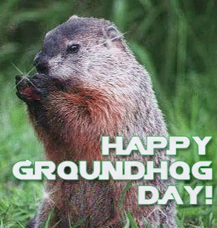 Happy Sparkling Groundhog Day GIF