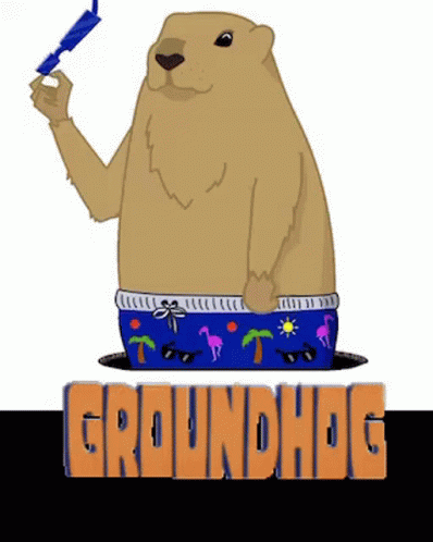 Groundhog Shades GIF