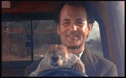 Groundhog Teach How To Drive GIF
