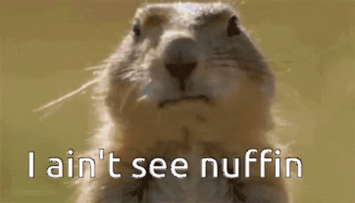 Bubblegum Groundhog GIF