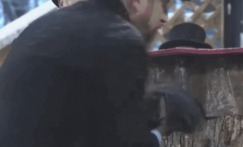 Groundhog Celebration GIF