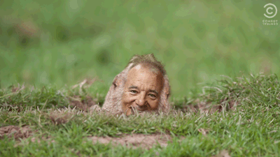 Groundhog Day Bill Murray Groundhog Face GIF