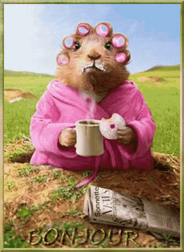Groundhog Day Breakfast Bonjour GIF