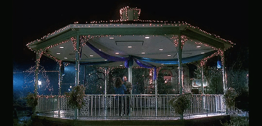 Groundhog Day Dancing At The Square GIF