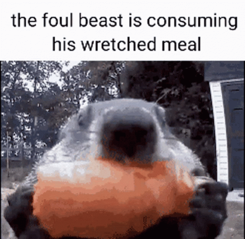 Groundhog Day Grazing On Sweet Potato GIF