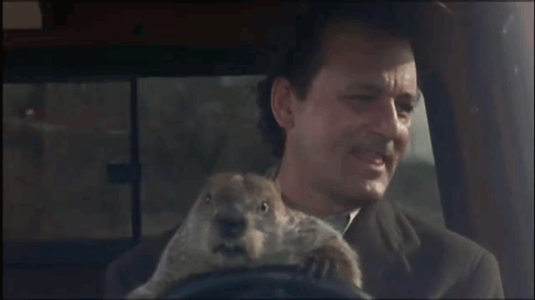 Groundhog Day Letting The Groundhog Drive GIF