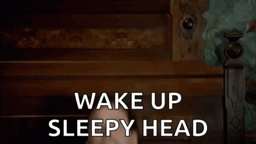 Groundhog Day Murray Wake Up Sleepy Head GIF