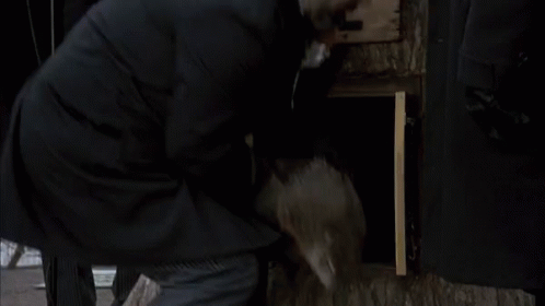 Groundhog Day Old Fashioned Celebration GIF