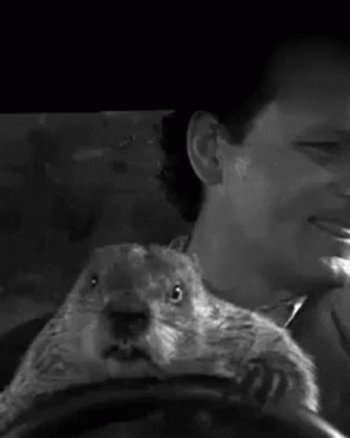 Groundhog Gopher And Boss Enjoy Ride GIF