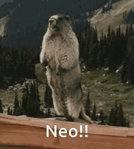 Groundhog Scream Neo GIF