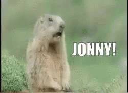 Groundhog Standing in Grass With Jonny