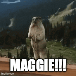 Groundhog Standing on Hind Legs Maggie