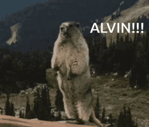 Groundhog Standing On Hind Legs Saying Alvin GIF