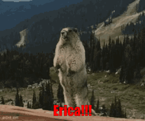 Groundhog Standing on Hind Legs Saying Erica