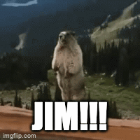 Groundhog Standing on Hind Legs Saying Jim