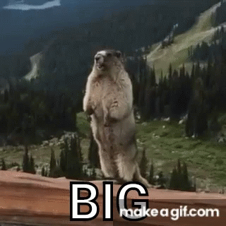 Groundhog Standing On Wooden Railing In Front Of Mountain GIF