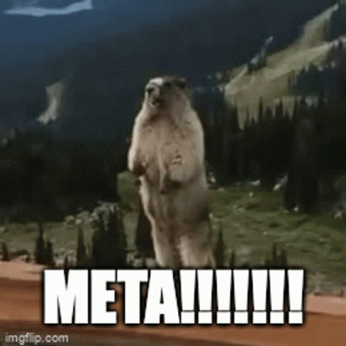 Groundhog Standing Saying Meta !!!