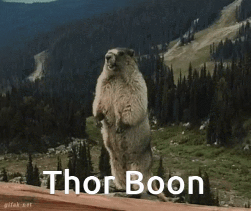 Groundhog Standing With Thor Boon Below