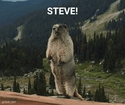 Groundhog Steve Standing On Hind Legs GIF