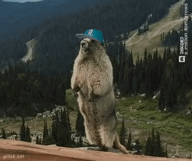 Groundhog with Hat Saying Euuuuck