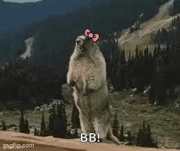 Groundhog With Hello Kitty Bow Standing on Hind Legs Near Mountain