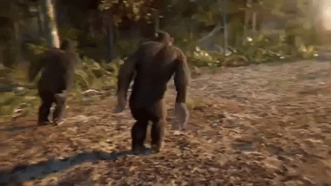 Group Dancing Monkey GIF