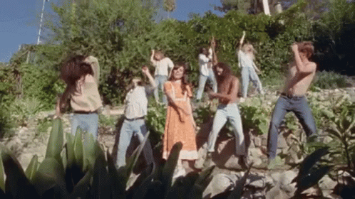 Group Dancing on Rock Wall in Woods