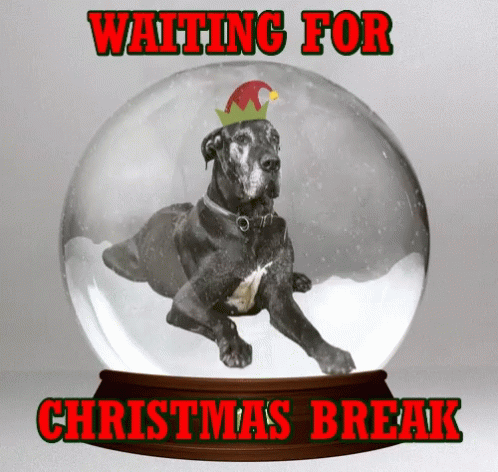 Group In Christmas Cubicle #Halfxmas GIF