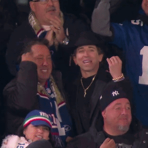Group In Stadium Wearing NY Hats And Scarves GIF