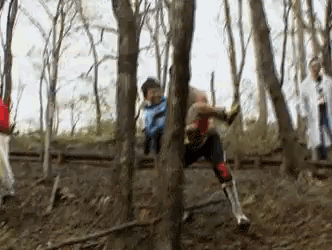 Group Member Jumping Through Tree in Woods