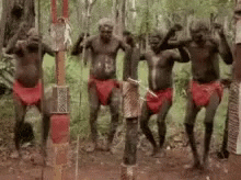 Group Of Aboriginal Men Dancing In The Woods GIF