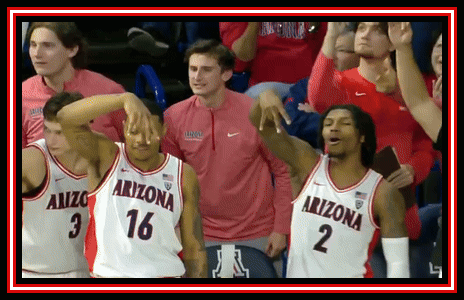 Group of Basketball Players in Arizona Jerseys