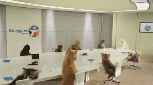 Group of Cats Around Table With Bouygues Sign