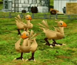 Group Of Chickens Standing In Field GIF