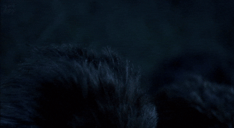 Group Of Critters Attacked GIF